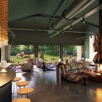 Le Safari Suite, un nouveau concept d'hébergement en immersion face aux lions et aux guépards au Zoo de La Flèche