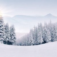 Cimalpes : Bilan hiver 2018/2019 et grandes tendances