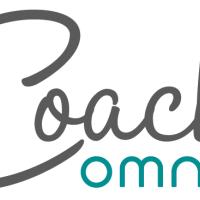 Notoriété des chaînes hôtelières : IBIS la plus connue