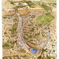 Vivre Jérusalem comme les pèlerins il y a 2 000 ans : la route des Pèlerins est désormais ouverte 