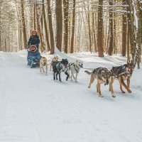 Alentour dévoile les activités phares et destinations privilégiées pour les vacances d'hiver