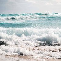 Voyage et écologie : la nouvelle plateforme française Hortense[.]green officiellement lancée