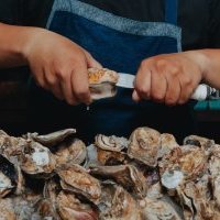 World of Hyatt présente FIND : une plateforme proposant des expériences insolites autour du bien-être