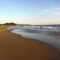 Etude The Ascott Limited été 2023 : 86<small class="fine d-inline"> </small>% des français souhaitent pouvoir annuler leur reservation sans frais à tout moment