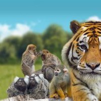 Les Parcs zoologiques de Lumigny font peau neuve