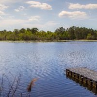 La Tendance en Hausse chez Azureva pour la Toussaint