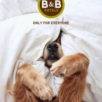 B&B HOTELS lutte à sa manière contre l'abandon des animaux liés aux départs en vacances et propose sa solution