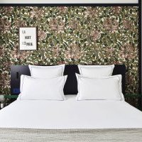 Rosalie, nouvel hôtel certifié entreprise à mission<small class="fine d-inline"> </small>!