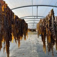 Neptune Elements renforce son département R&D avec l'acquisition d'Arvorig Solutions