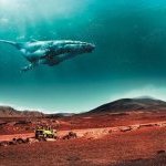  Ile de La Réunion : fréquentation touristique premier semestre 2018