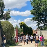 Terra Botanica : une saison estivale historique avec + 55% de visiteurs par rapport à 2019 grâce aux nouveautés et un programme d'animations inédit