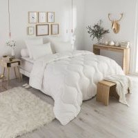 Nouveauté Dodo : une gamme d'articles de lit pour lutter contre les punaises de lit<small class="fine d-inline"> </small>!