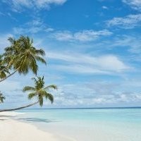 Sun Siyam Resorts : le tourisme durable au premier plan de l'expérience client