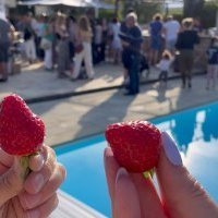 Brit Hotel fête les 10 ans de son label «<small class="fine d-inline"> </small>Producteurs Locaux<small class="fine d-inline"> </small>»