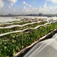 Des hôtels Mercure parisiens créent leurs propres bières 100% locales