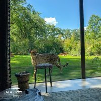 Le Zoo de La Flèche ouvre quatre nouveaux lodges et dévoile les premières étapes de son projet hôtelier