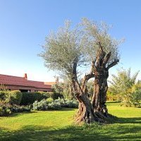 Le Domaine des Remparts, une parenthèse enchantée à Marrakech