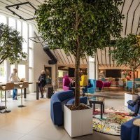Grape Hospitality : bilan à J+3 ans et ambitions 2020