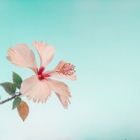 majorian annonce le lancement de Peace & Work 