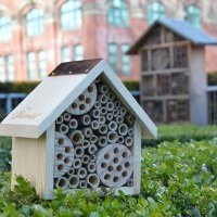 Fairmont célèbre le mois des pollinisateurs