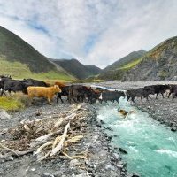 Relais Châteaux x Slow Food : Food For Change, vers une agriculture régénérative