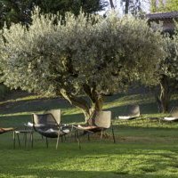 Best Western® Hotels & Resorts s'engage pour la sobriété énergétique