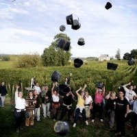 Une année climatique historique et un millésime 2022 très prometteur attendu à Bordeaux