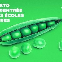 La cuisine végétale en école hôtelière : répondre aux nouvelles attentes