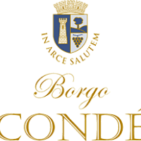 D<sup class="typo_exposants">r</sup>. Romeo Carlomusto, nouveau Directeur Général au Borgo Condè Wine Resort