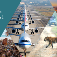 Le Duc du Sussex lance une initiative mondiale visant à promouvoir le tourisme durable : «<small class="fine d-inline"> </small>Travalyst<small class="fine d-inline"> </small>», le catalyseur de voyages