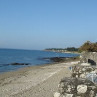 Etude PAP : baisse de 18,9<small class="fine d-inline"> </small>% des réservations pour les vacances de la Toussaint 2022 aggravée par la crainte d'une pénurie de carburant