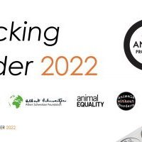 Poulets «<small class="fine d-inline"> </small>de chair<small class="fine d-inline"> </small>» : L214 publie un classement des chaînes de restauration