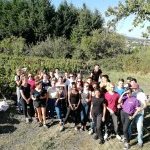 Les vendanges au soleil dans le pays d'Auvergne pour des élèves du lycée hôtelier de Chamalières 