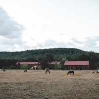 Zencap AM accompagne le groupe Le Barn Hotels dans son développement en France