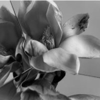 Exposition photos de Roberto Patella au Gallery Hotel Art de Florence