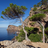 Majorque, engagement pour un tourisme responsable