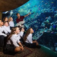 L'Atlantis Dubaï célèbre les 1 an du projet Atlas à l'occasion de la Journée mondiale des océans