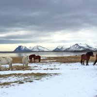 Six Senses Össurá Valley ouvrira ses portes en Islande