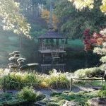  Parc Oriental de Maulévrier : le plus grand jardin japonais d'Europe rouvrira ses portes le 13 mars 2021