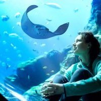 Atlantis Dubai célèbre les deux ans du projet Atlas