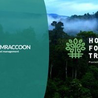 RoomRaccoon annonce un partenariat avec Hotels for Trees