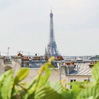 Le Jardin de Cheval Blanc Paris sera de retour dès le premier juin