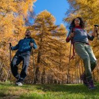 2,4 millions d'euros investis pour les campagnes de l'automne et hiver en région Sud 