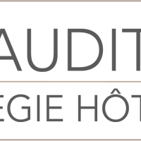 Suisse Audit Hôtel crée le CHALLENGE DE NOËL, le programme qui booste les réservations directes des hôteliers pour les fêtes