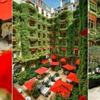 Le Plaza Athénée ouvre la Cour Jardin dès le 9 mai 2023 : une escapade végétale avec Jean Imbert cet été