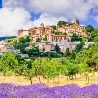  Belambra et IFOP «<small class="fine d-inline"> </small>Les Français et les vacances d'été<small class="fine d-inline"> </small>»