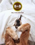 B&B HOTELS lutte à sa manière contre l'abandon des animaux liés aux départs en vacances et propose sa solution