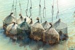 «<small class="fine d-inline"> </small>Ode aux coquillages<small class="fine d-inline"> </small>» : pour la journée mondiale de l'océan, les chefs Relais & Châteaux soutiennent les cultivateurs de la mer et préservent le patrimoine des populations vivant sur le littoral