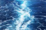 Expedia Cruises souligne l'importance des données, de la technologie et d'un esprit de partenariat pour la relance du secteur 