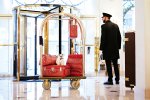 Socrate, nouveau résident du Bristol Paris